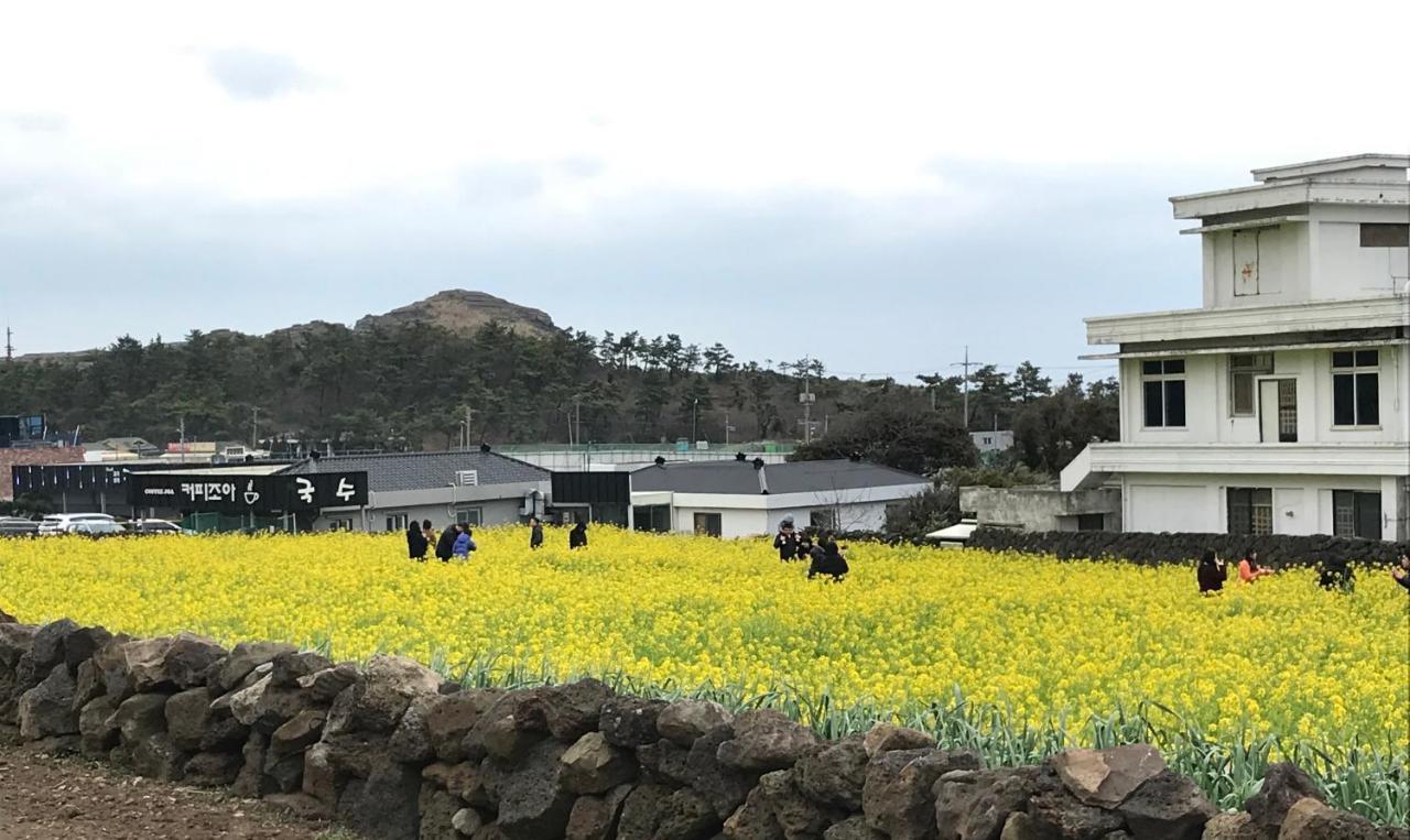 Jeju Moseulpo Hotel Seogwipo Zewnętrze zdjęcie