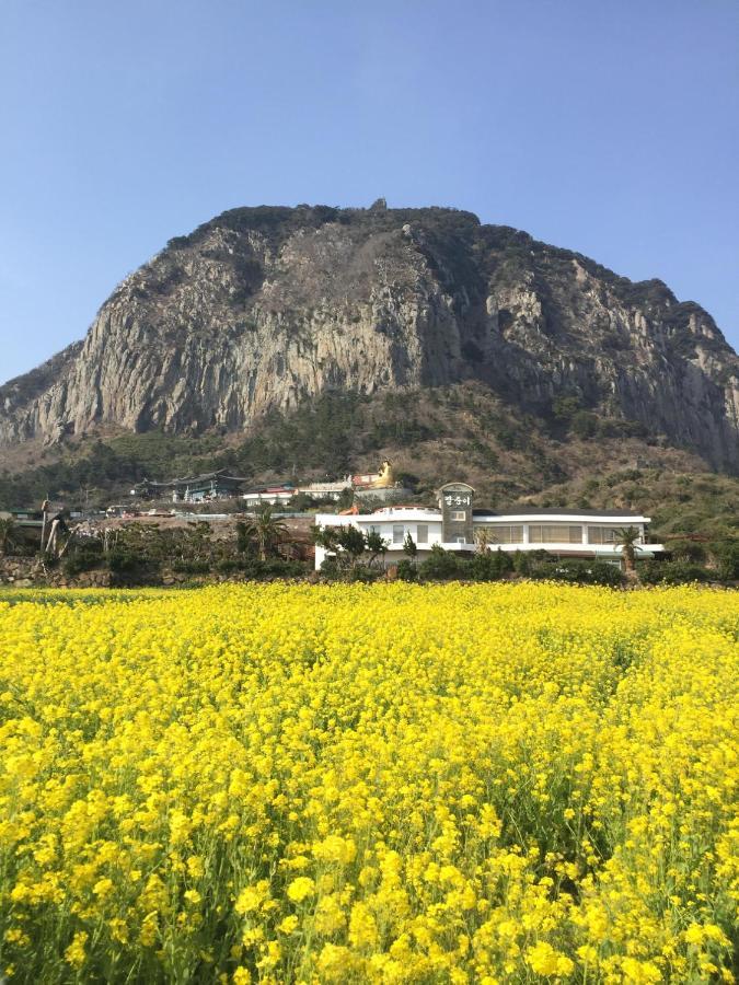 Jeju Moseulpo Hotel Seogwipo Zewnętrze zdjęcie