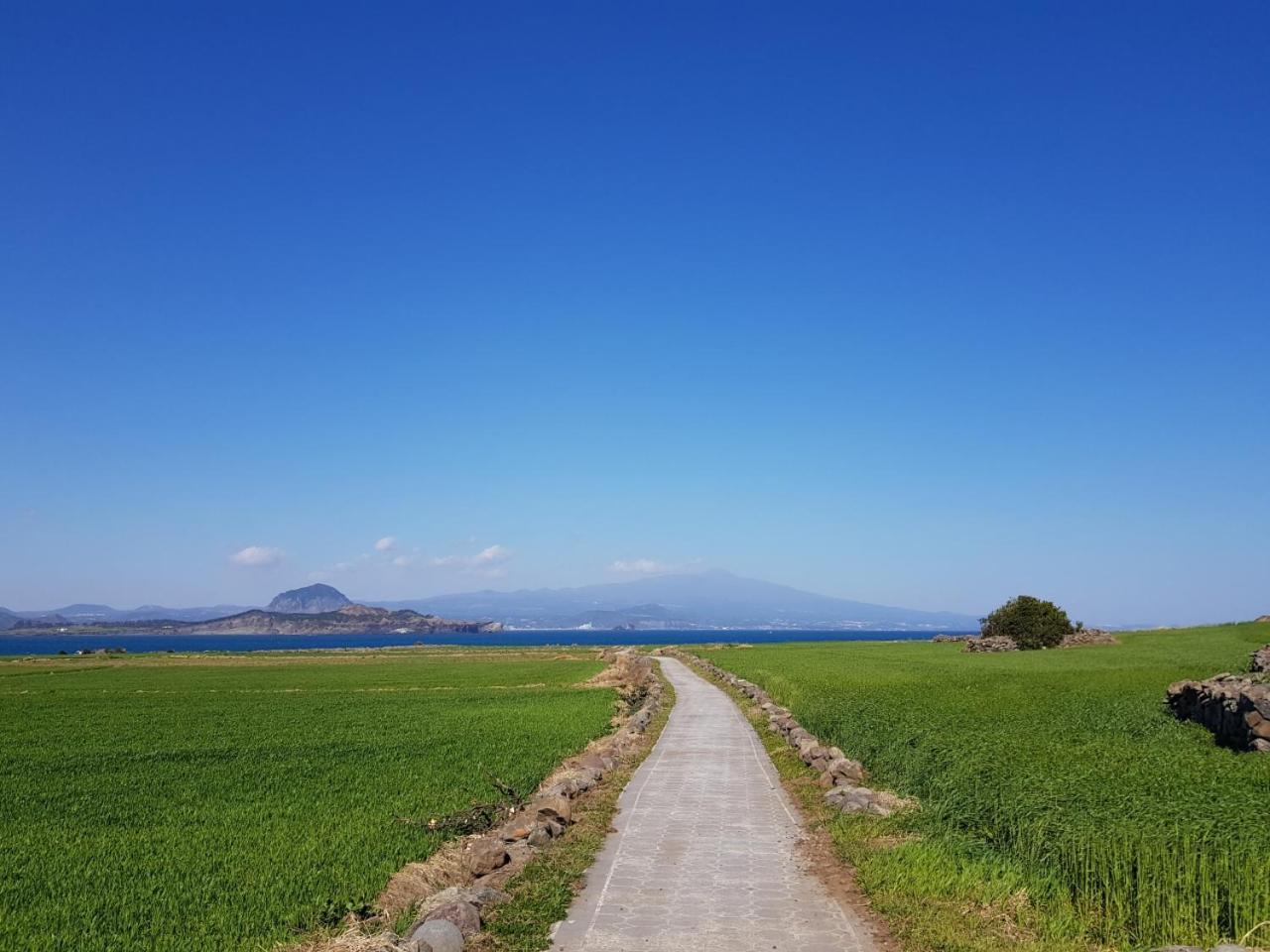 Jeju Moseulpo Hotel Seogwipo Zewnętrze zdjęcie